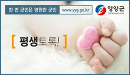 배너