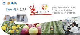 배너