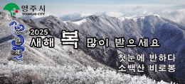 배너