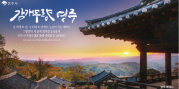 배너