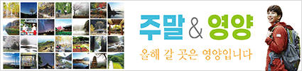 배너