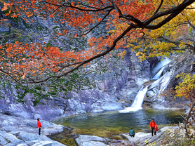 걷다 보면 울진이 보인다 깊어가는 가을, 철도로 떠나는 울진 걷기 여행