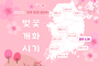 경주시, 봄꽃 개화정보 한눈에…‘벚꽃알리미’서비스 개시