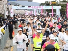 벚꽃길 위를 달린다… 경주벚꽃마라톤 4월 4일 개최