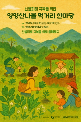 배너