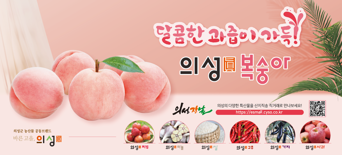 배너