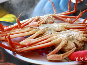멀었던 울진, 가장 가까운 계절이 되다 - 사계절 체류형 관광도시로 진화 중인 겨울 울진!