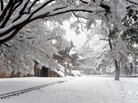 설 연휴, 천년의 시간을 걷다…빛으로 물든 고도 경주