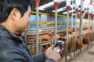 경주천년한우·경주체리·감포 참전복…경주 농축수산 ‘3대 명품’ 부상
