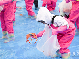 제29회 영덕대게축제 26일 개막, ‘잡는 재미 먹는 즐거움’ 가득